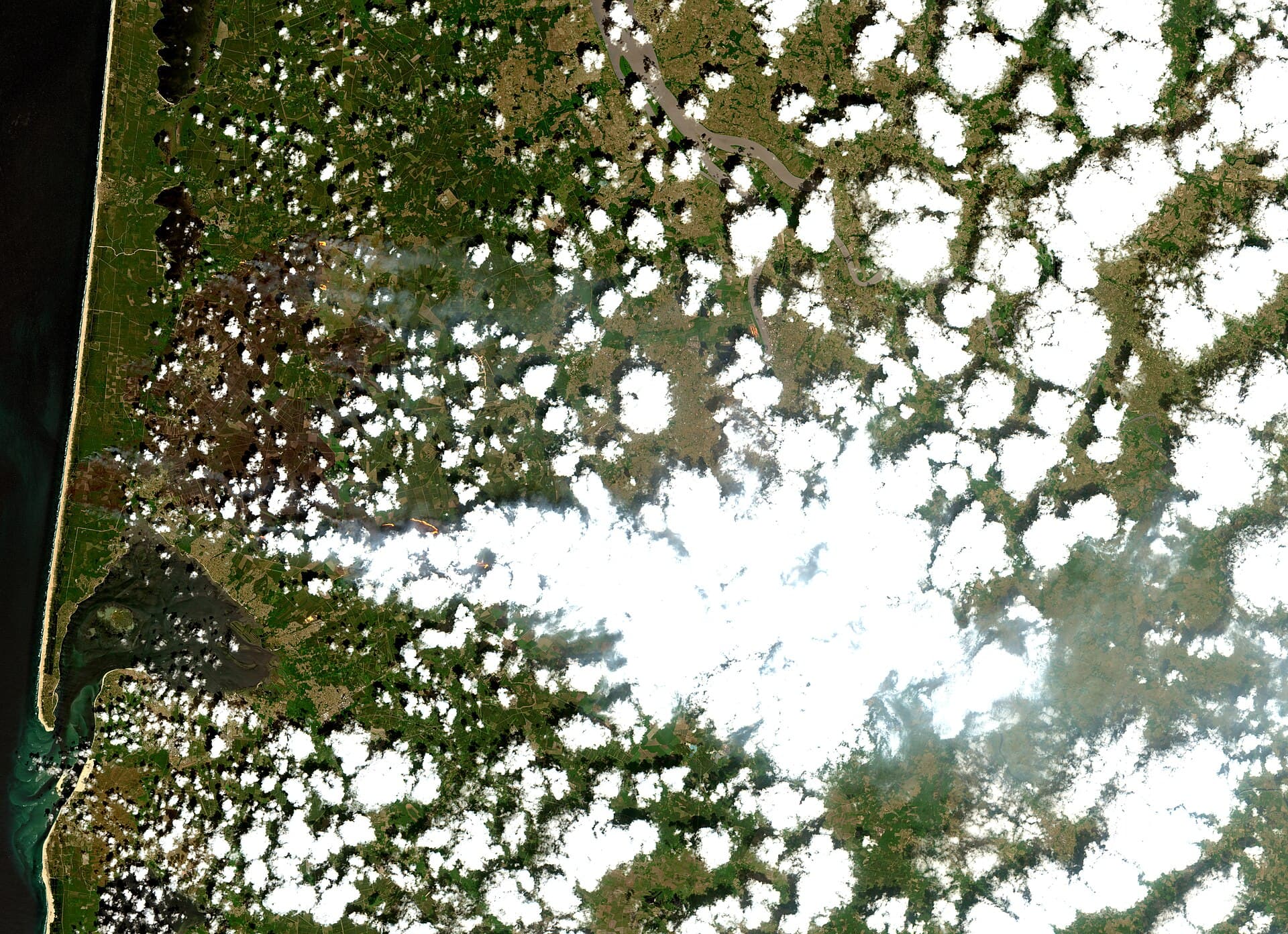 Gironde fire scar reviewed in late summer 2026