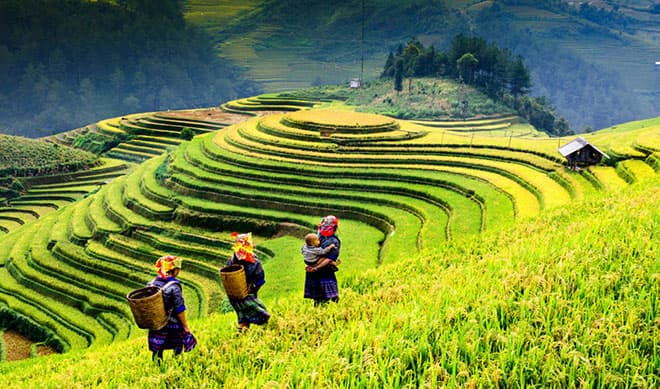 Vietnam preview