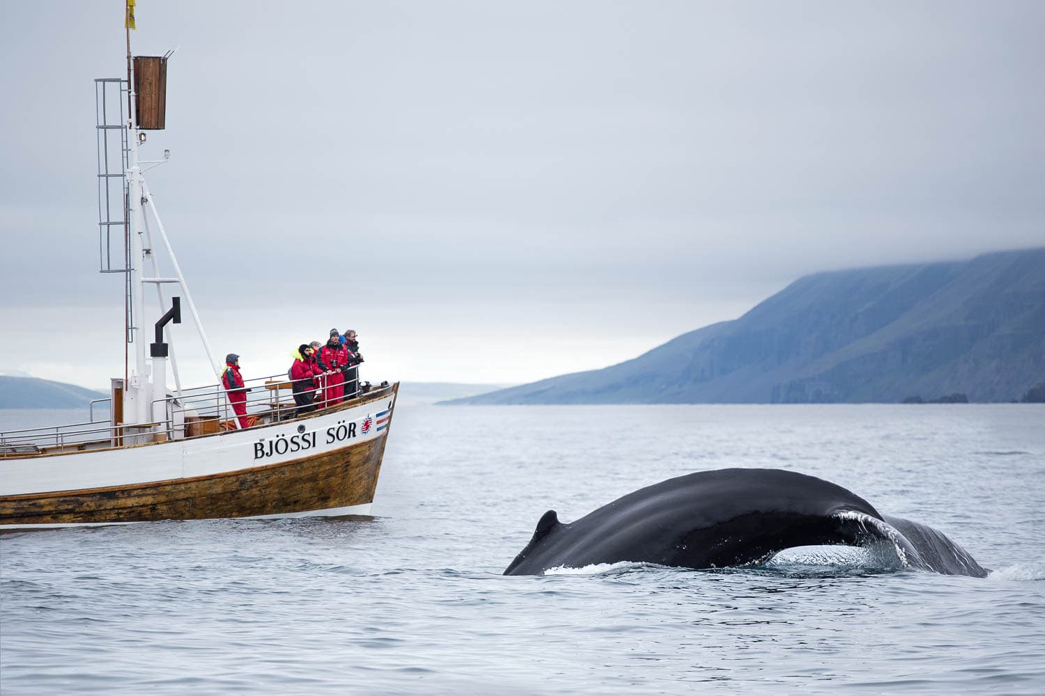 Iceland preview