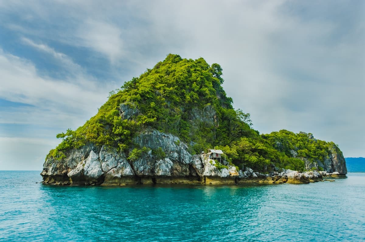 Tropical shore and clear water