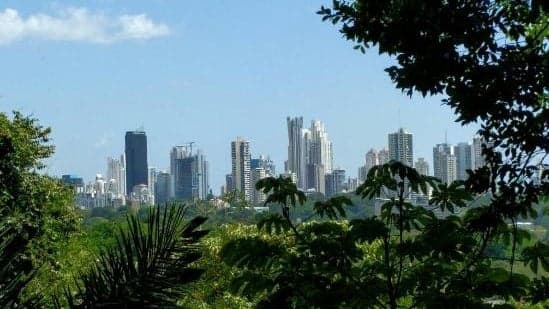 Panama preview