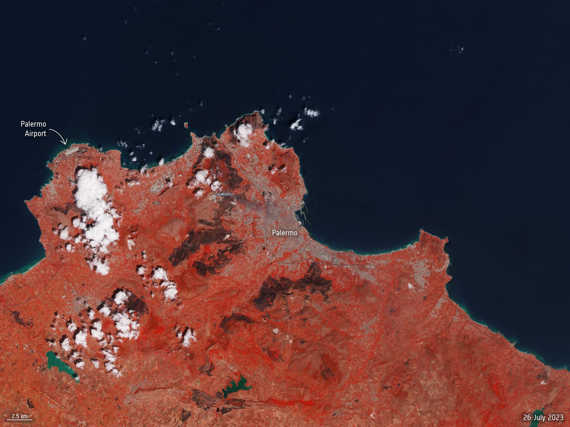 Sicily fire scars reviewed in late summer 2026